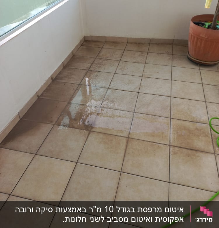 רצפת מרפסת עם אריחים רטובים וצינור ירוק